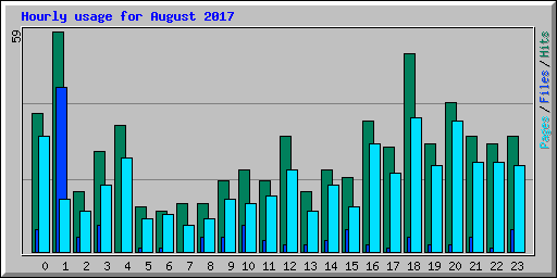 Hourly usage for August 2017